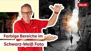 Schwarz-Weiß-Fotos kolorieren