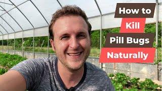 How to Kill Pill Bugs Organic Control