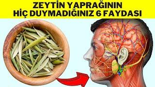 ZEYTİN YAPRAĞININ FAYDALARI - Zeytin Yaprağı Çayı Nasıl Yapılır? - Zeytin Yaprağı Çayının Faydaları