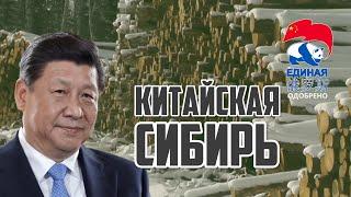 Китайцы в Сибири живут на широкую ногу  Прекрасная Россия
