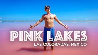 LAS COLORADAS PINK LAKE - Mexico