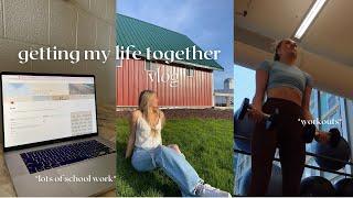 vlog  getting my life together workouts school work + productive days