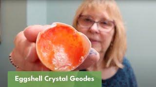 Eggshell Crystal Geodes  Science & STEAM for Kids