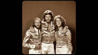 THE BEE GEES-night fever