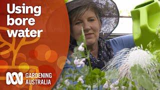 Things to consider when using bore water in your garden  Gardening 101  Gardening Australia