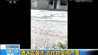 甘肃陇南：遭冰雹袭击 农作物受损严重