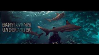 VIENNA TOURS - BANYUWANGI UNDERWATER - DINKES SURAKARTA