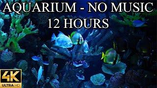 AQUARIUM 4K Coral Reef 4K Aquarium No Music No Ads - 12 Hours  Aquarium Sounds For Sleeping