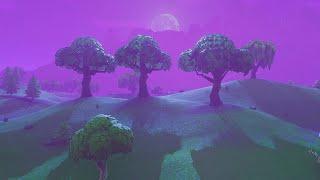 The Old Graphics  Fortnite Nostalgic Edit