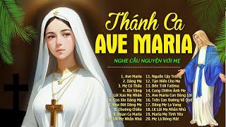 Ave Maria Dâng Mẹ - Nhạc Thánh Ca Dâng Đức Mẹ Maria Hay Tuyệt Vời - Thánh Ca Công Giáo Tuyển Chọn