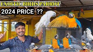 Birds Parrots PRICE  2024 Upcoming PRICE of Exoitic Parrots .