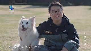 你的狗狗为什么不听话？犬行为训练师告诉你答案 《Hi 新职业》【CCTV纪录】