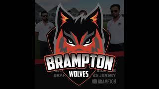 Mayor Patrick Brown unveils the Brampton Wolves Jersey for GT20 Canada Season 3 