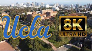 University of California Los Angeles  UCLA  8K Campus Drone Tour