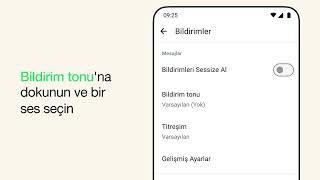 Bireysel sohbetler veya grup sohbetleri için sohbet seslerini ayarlama  WhatsApp