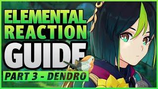 3.0 UPDATED Elemental Reaction Guide Part 3 - DENDRO  Genshin Impact