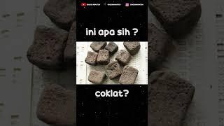 Kotak-kotak Bukan Coklat Tapi Kotoran #Shorts Wombat