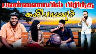 பண்ணையில் பிரிந்த கலியாணம்  #jaffnacomedy  #Uruddu  #tamilcomedyvideos