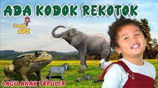 Lagu Anak Populer  Ada Kodok Rekotok Hits Sepanjang Masa