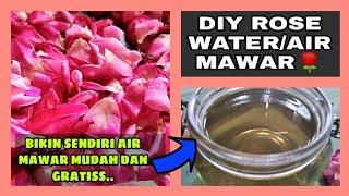 DIY ROSE WATERMEMBUAT AIR MAWAR SENDIRI MUDAH & GRATIS