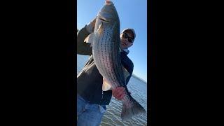 HOOKED UP Striped Bass Hudson River 2020