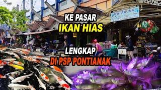 Ke Pasar Ikan Hias Lengkap di Pontianak