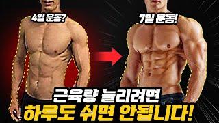 헬스 무조건 매일하세요 근손실..ㄷㄷ 벌크업을 위한 7일운동 루틴프로그램