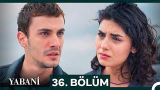 Yabani 36. Bölüm SEZON FİNALİ