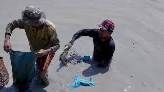 តោះចាប់ត្រីជាមួយ Dj Heroដោយប្រើអង្រុត  Catching fish Khmer Traditional catching fish
