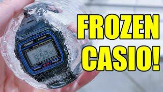 FROZEN CASIO F-91W  Does it Still Work?