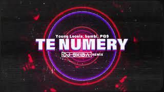 Young Leosia bambi PG$ - TE NUMERY DJ SKIBA REMIX