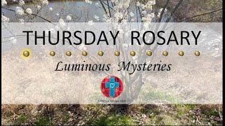 Thursday Rosary • Luminous Mysteries of the Rosary  April 25 2024 VIRTUAL ROSARY - MEDITATION