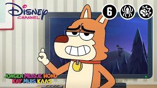 Jongen Meisje Hond Kat Muis Kaas  Wolfachtige Straathonden  Disney Channel NL