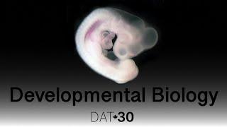 Developmental Biology Intro to Developmental Biology