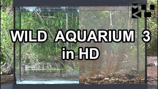 WILD AQUARIUM 3 HD MIKOLJI