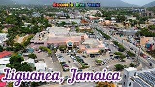 Liguanea Kingston Uptown Corporate Area