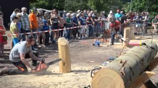 Kettensägetage 2015 in Bliesen - Speedcarving