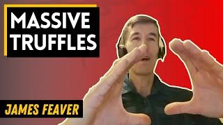 JAMES FEAVER - on Massive English Truffles   TF Episode #001