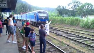 Шри-ланка. Прибытие поезда. Хапутале - Охийя. Sri lanka. Train arrival. Haputale - Ohiya.