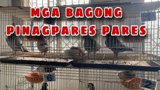 MGA BAGONG PINAGPARES PARES Reggie Cruz Loft & Aviary #reggiecruzloftandaviary #reggiecruzloft