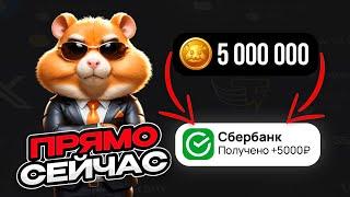 Hamster Kombat выводи деньги ПРЯМО СЕЙЧАС Как вывести деньги с Хамстер Комбат? Листинг комбо шифр