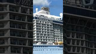 Ovation of the Seas is so MASSIVE it looks like a Star Destroyer #cruise #cruiseship #shorts