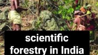 @what is scientific forestry?@ effect of scientific forestry on Indian forest @ Indian forest servic