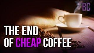 Heres Why Your Next Cup of Coffee Will Cost $25