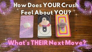 How Does Your Crush Feel About YOU? All About YOUR CRUSH  In-Depth Timeless Tarot Reading