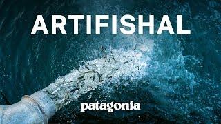 Artifishal The Fight to Save Wild Salmon  Patagonia Films