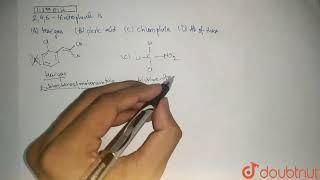 2 4 6-trinitrophenol is   12  ALCOHOLS PHENOLS AND ETHERS  CHEMISTRY  MHTCET PREVIOUS YEA...