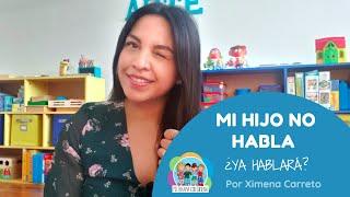 Mi hijo no habla ¿ya hablará? l DESARROLLO DEL LENGUAJE l Mi terapia con Ximena