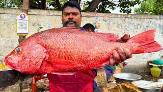 KASIMEDU  SPEED SELVAM  RED SNAPPER FISH CUTTING VIDEO  IN KASIMEDU  FF CUTTING 