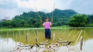 Unique fishing videos harvesting 20kg of fish every day20kg hasatla benzersiz balık tutma videoları